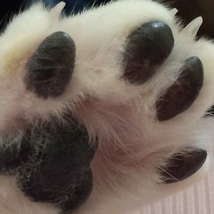 Meet your Posher, Kathryn